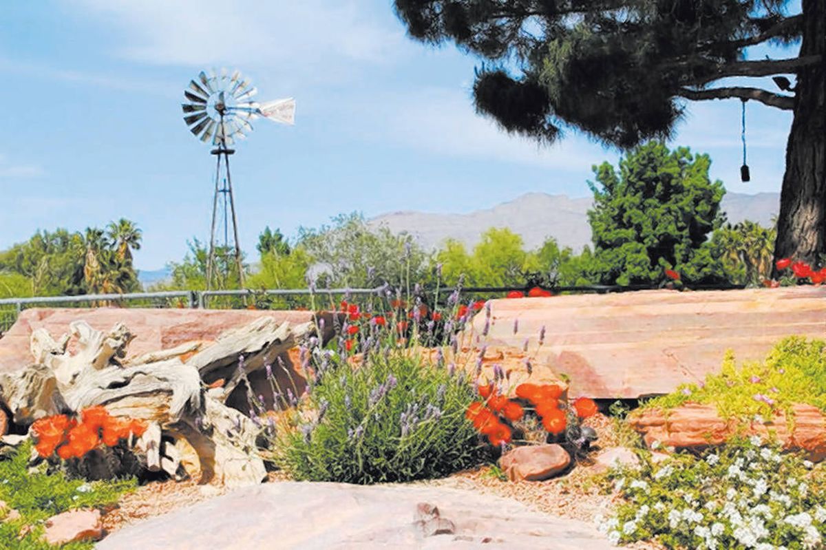 Attanasio Landscape Architecture Attanasio Landscape Architecture wurde bei der Verleihung der Southern Nevada Landscape Awards 2017 mit dem Award of Excellence in Residential Design 2017 ausgezeichnet.